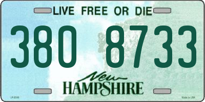 NH license plate 3808733