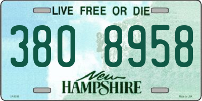 NH license plate 3808958