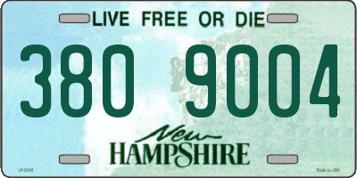 NH license plate 3809004