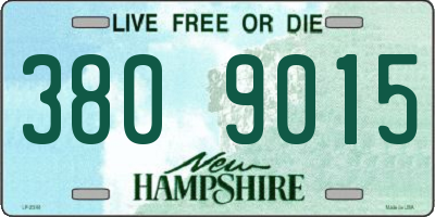 NH license plate 3809015