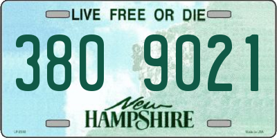 NH license plate 3809021