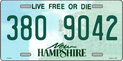 NH license plate 3809042