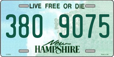 NH license plate 3809075