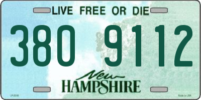 NH license plate 3809112