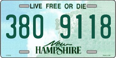 NH license plate 3809118