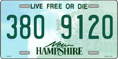 NH license plate 3809120