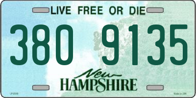 NH license plate 3809135