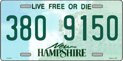 NH license plate 3809150