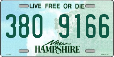 NH license plate 3809166