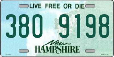 NH license plate 3809198