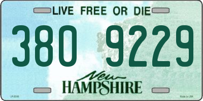 NH license plate 3809229