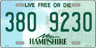 NH license plate 3809230