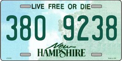 NH license plate 3809238