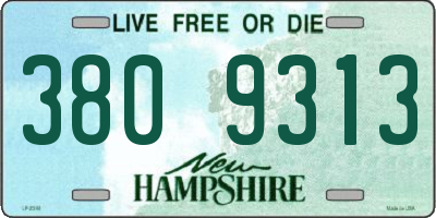 NH license plate 3809313