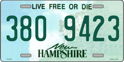 NH license plate 3809423