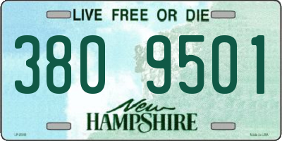 NH license plate 3809501