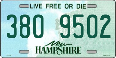 NH license plate 3809502