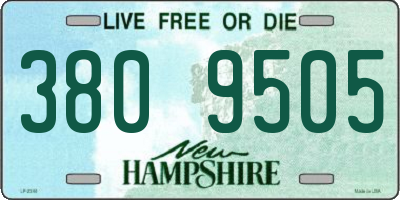 NH license plate 3809505