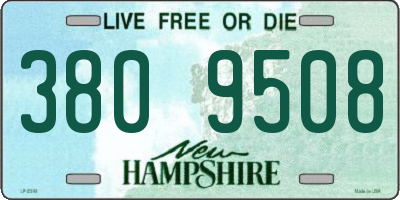 NH license plate 3809508