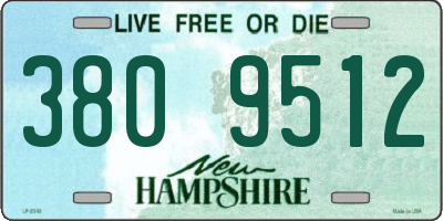 NH license plate 3809512