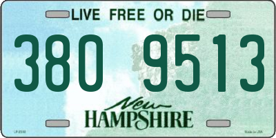 NH license plate 3809513