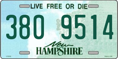 NH license plate 3809514