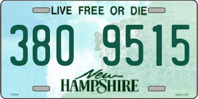 NH license plate 3809515