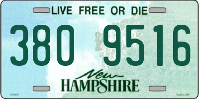 NH license plate 3809516