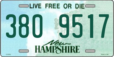 NH license plate 3809517