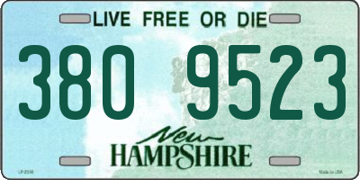 NH license plate 3809523