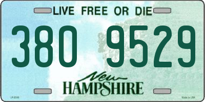 NH license plate 3809529