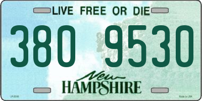 NH license plate 3809530