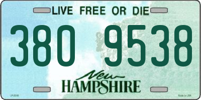 NH license plate 3809538