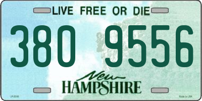 NH license plate 3809556