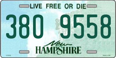 NH license plate 3809558