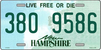 NH license plate 3809586