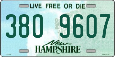 NH license plate 3809607