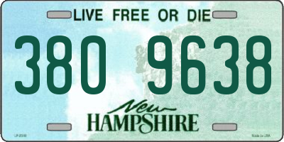 NH license plate 3809638