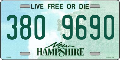 NH license plate 3809690