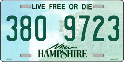 NH license plate 3809723