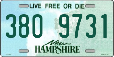 NH license plate 3809731