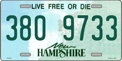 NH license plate 3809733