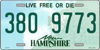 NH license plate 3809773