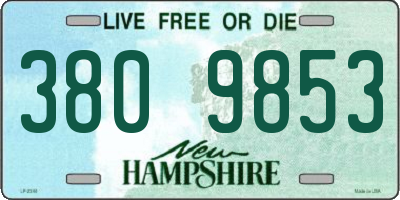 NH license plate 3809853