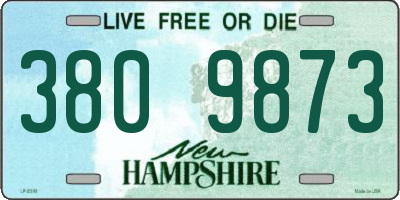 NH license plate 3809873