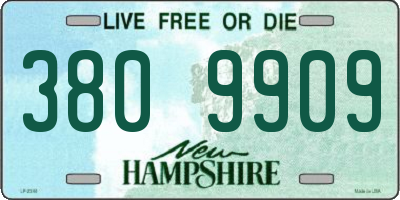 NH license plate 3809909