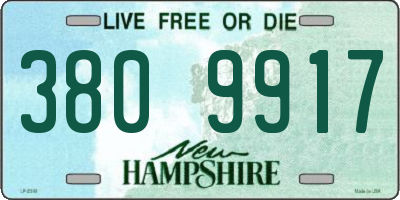 NH license plate 3809917