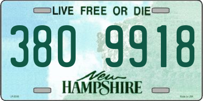 NH license plate 3809918