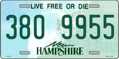 NH license plate 3809955