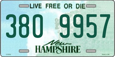 NH license plate 3809957